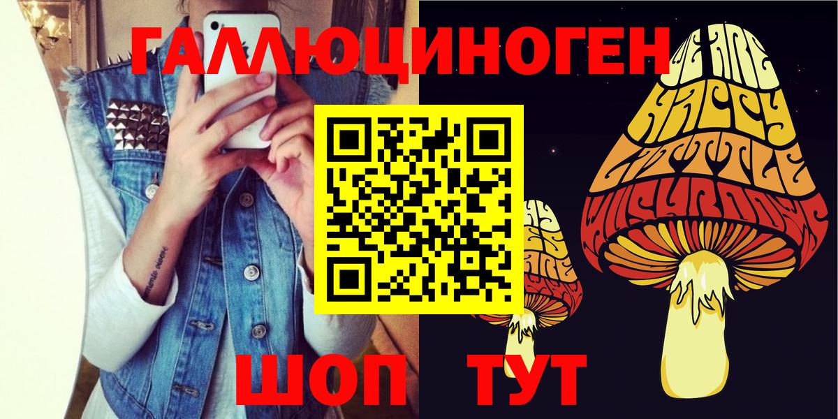 купить   Вход с VPN  Лабинск  Галлюциногенные грибы мицелий  Псилоцибиновые грибы Psilocybine cubensis 